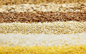 grains products