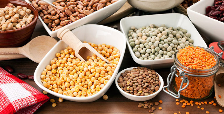 how-to-measure-quality-of-pulses-adascan-grain-corporation